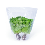 Xà lách Lolo xanh thủy canh