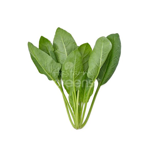 Cải bó xôi baby