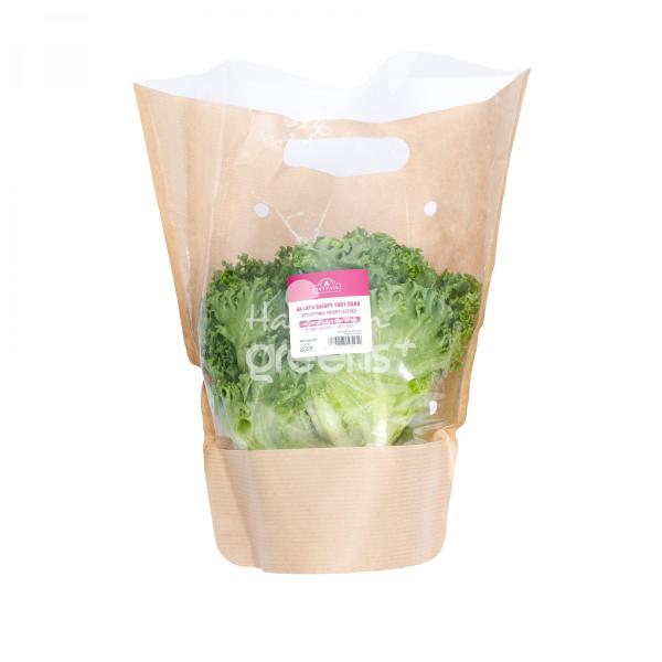 Xà lách Crispy thủy canh - TopValu