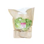 Xà lách mỡ thủy canh - TopValu