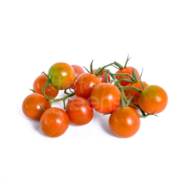 Cà chua Roseberry