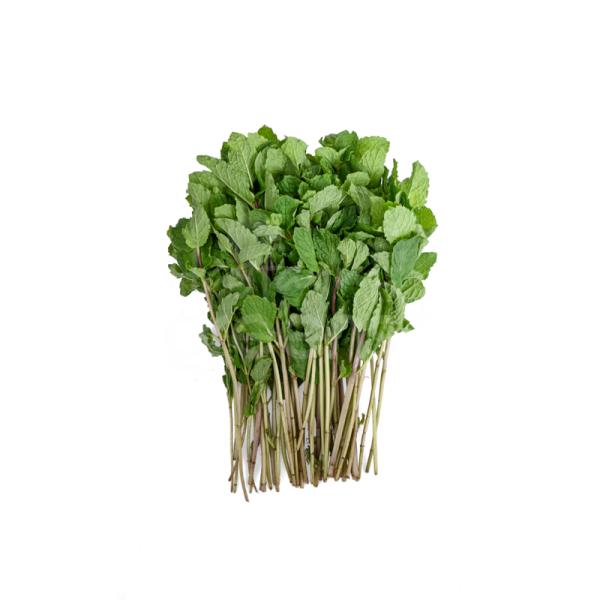 Húng lủi ta