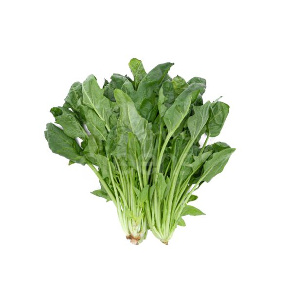 Cải bó xôi