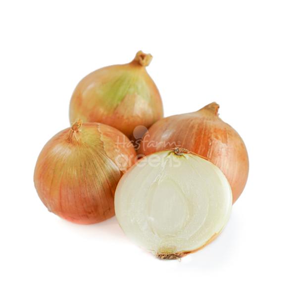 Hành tây Đà Lạt