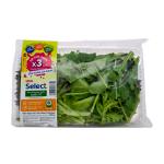 Hỗn hợp xà lách baby & rocket - Co.op Select