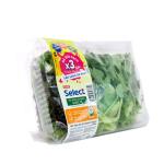 Hỗn hợp xà lách baby & rocket - Co.op Select