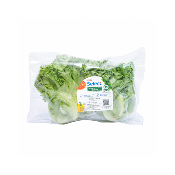 Xà lách Crispy – Co.op Select