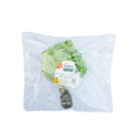 Xà lách Iceberg thủy canh – Co.op Select