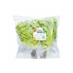 Xà lách lô lô xanh thủy canh – Co.op Select