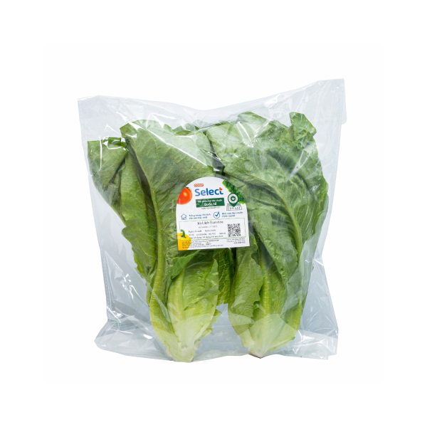 Xà lách Romaine – Co.op Select
