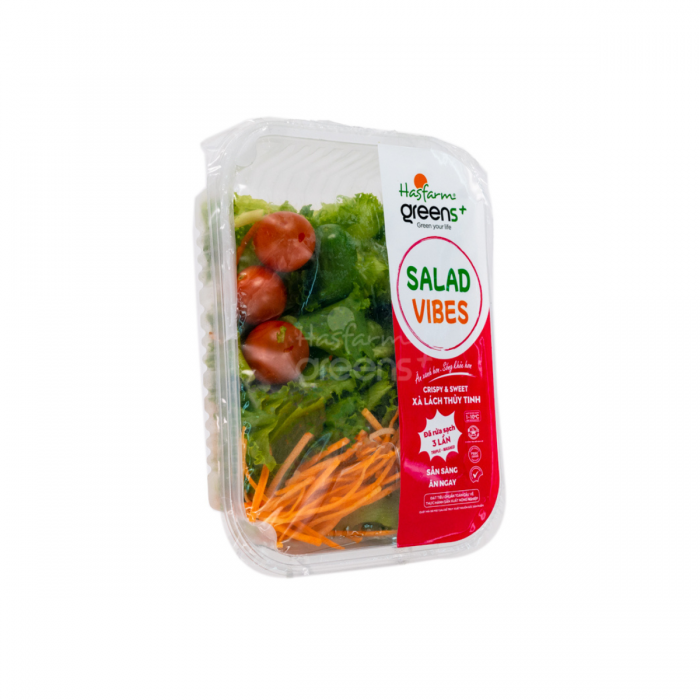 Salad Xà lách thủy tinh